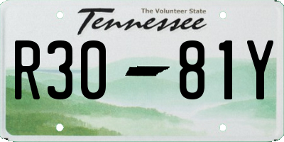 TN license plate R3081Y