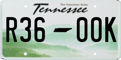 TN license plate R3600K