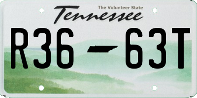 TN license plate R3663T