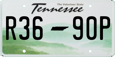 TN license plate R3690P
