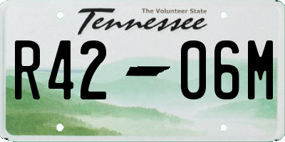 TN license plate R4206M