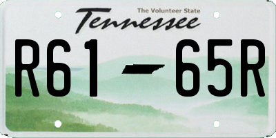 TN license plate R6165R
