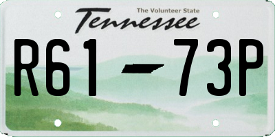 TN license plate R6173P