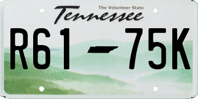 TN license plate R6175K