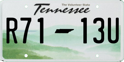 TN license plate R7113U