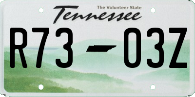TN license plate R7303Z