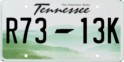 TN license plate R7313K