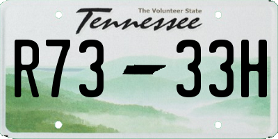 TN license plate R7333H