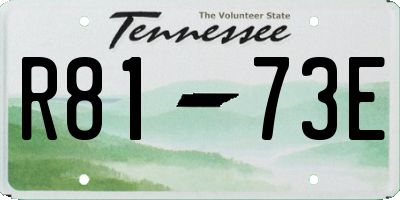 TN license plate R8173E