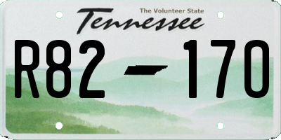 TN license plate R8217O