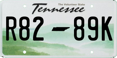 TN license plate R8289K
