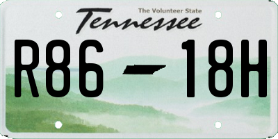 TN license plate R8618H