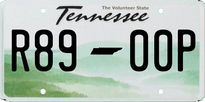 TN license plate R8900P