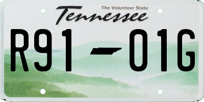 TN license plate R9101G