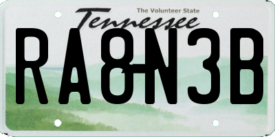 TN license plate RA8N3B