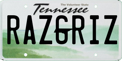 TN license plate RAZGRIZ