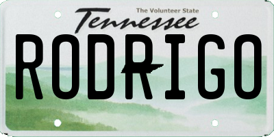 TN license plate RODRIGO