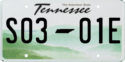 TN license plate S0301E