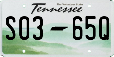 TN license plate S0365Q