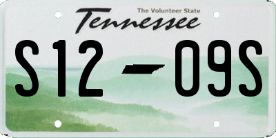 TN license plate S1209S