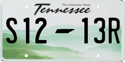 TN license plate S1213R