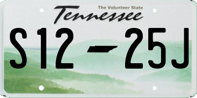 TN license plate S1225J
