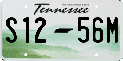 TN license plate S1256M