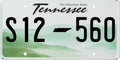 TN license plate S1256O