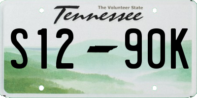 TN license plate S1290K