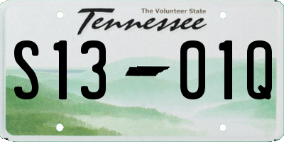 TN license plate S1301Q