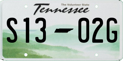 TN license plate S1302G