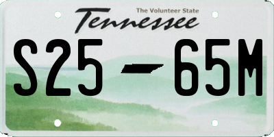 TN license plate S2565M