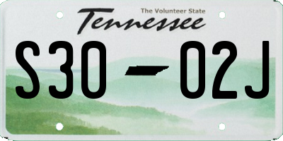 TN license plate S3002J