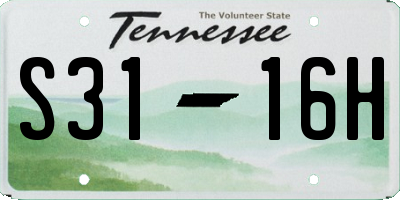 TN license plate S3116H