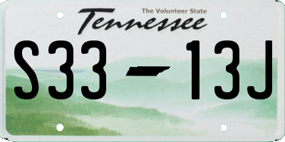 TN license plate S3313J