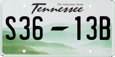 TN license plate S3613B