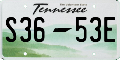TN license plate S3653E