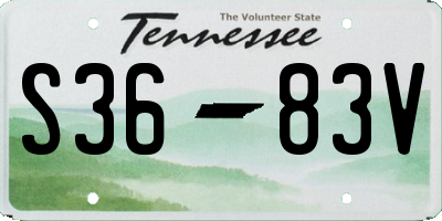TN license plate S3683V