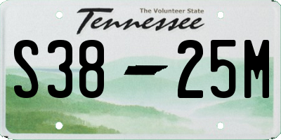 TN license plate S3825M