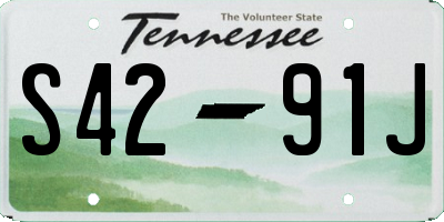 TN license plate S4291J