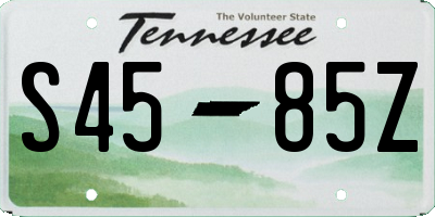 TN license plate S4585Z