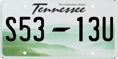TN license plate S5313U