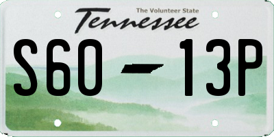 TN license plate S6013P