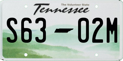 TN license plate S6302M