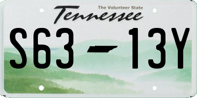 TN license plate S6313Y