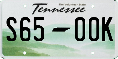 TN license plate S6500K