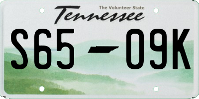 TN license plate S6509K