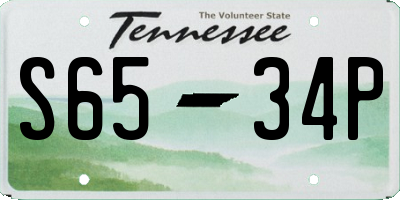 TN license plate S6534P