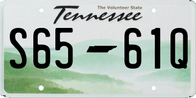 TN license plate S6561Q