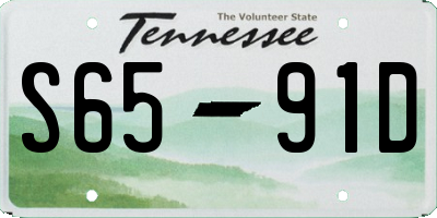 TN license plate S6591D
